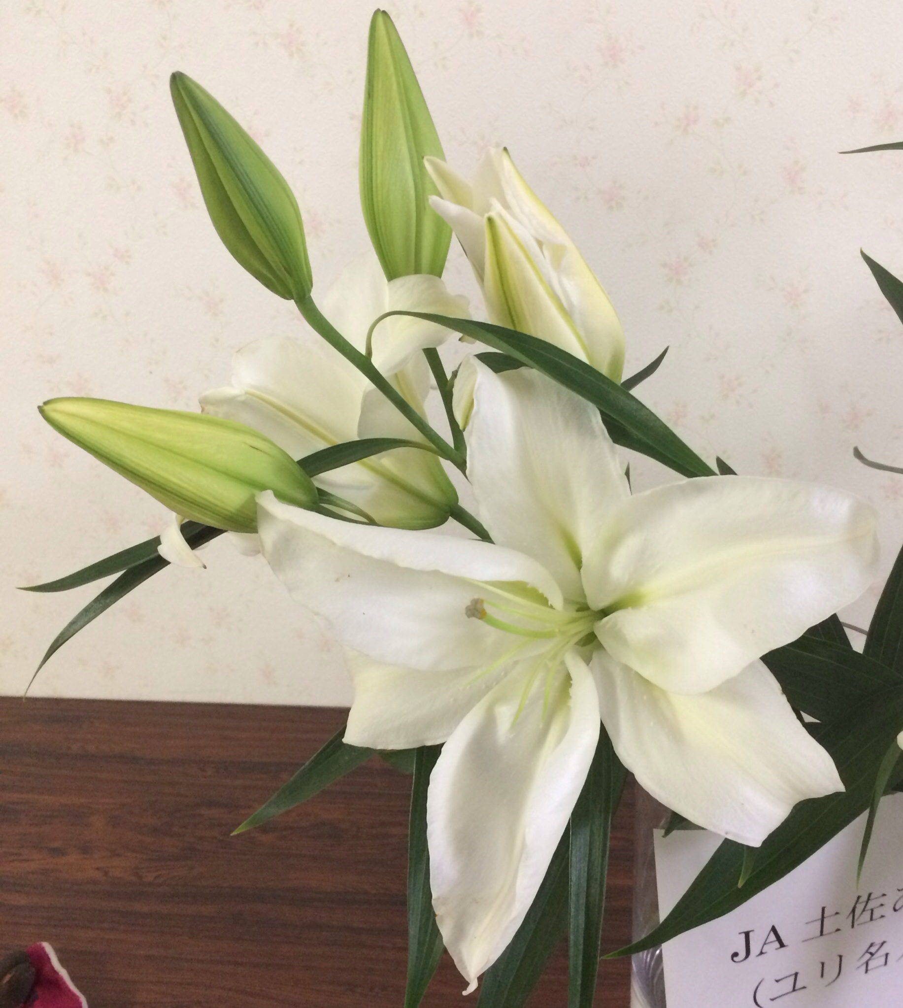 ファイル 122-1.jpg