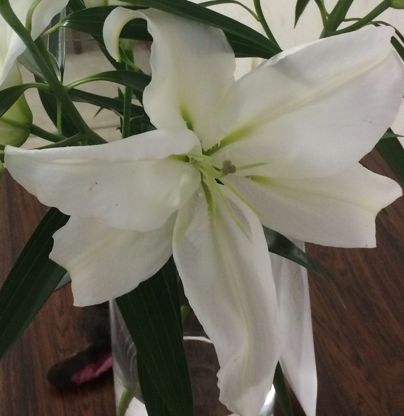 ファイル 122-2.jpg