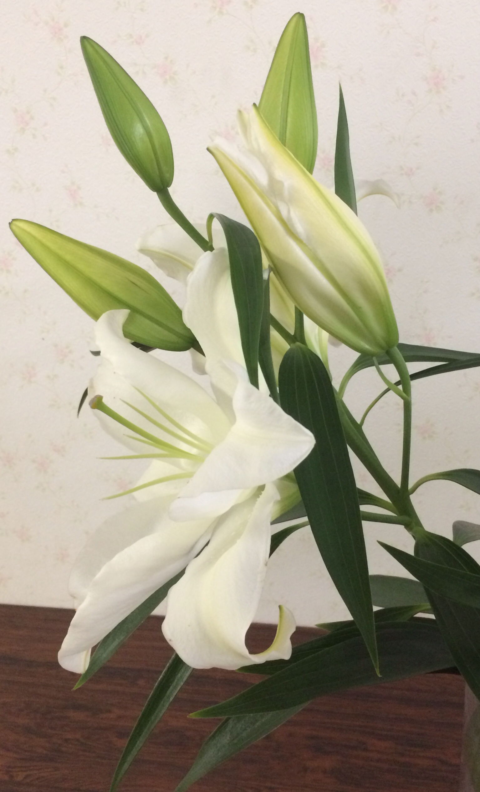 ファイル 122-3.jpg