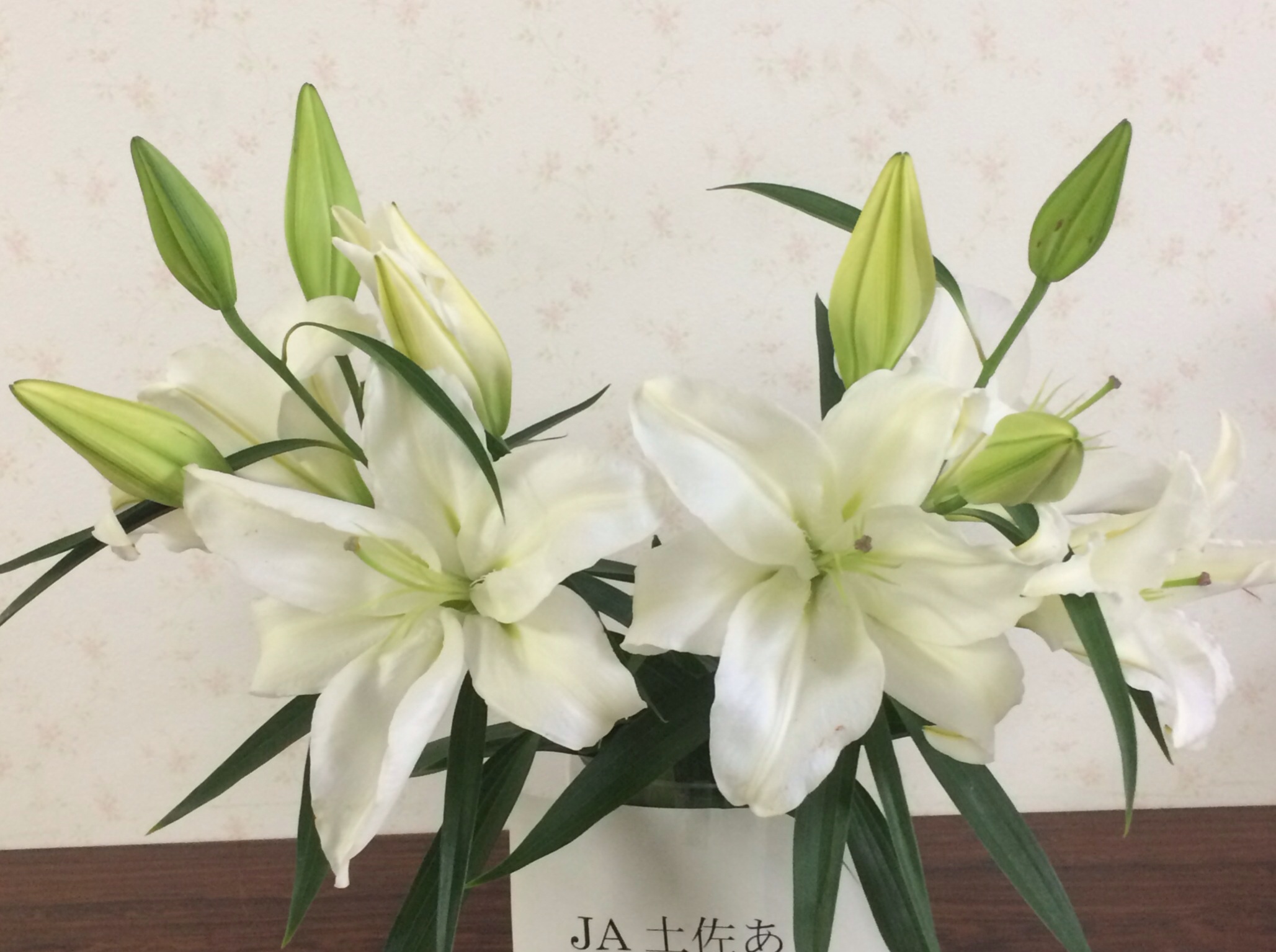 ファイル 122-4.jpg