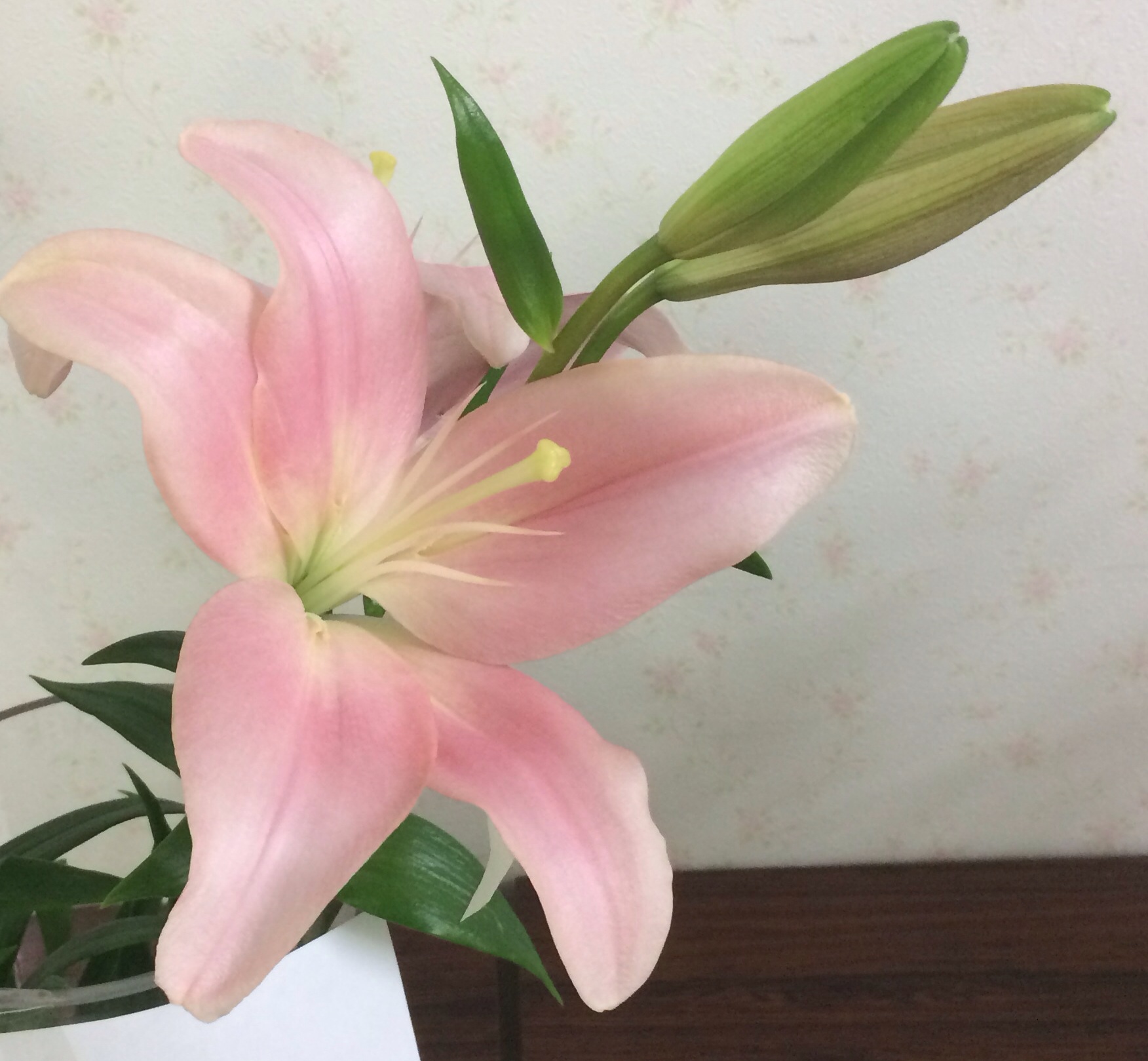 ファイル 123-2.jpg