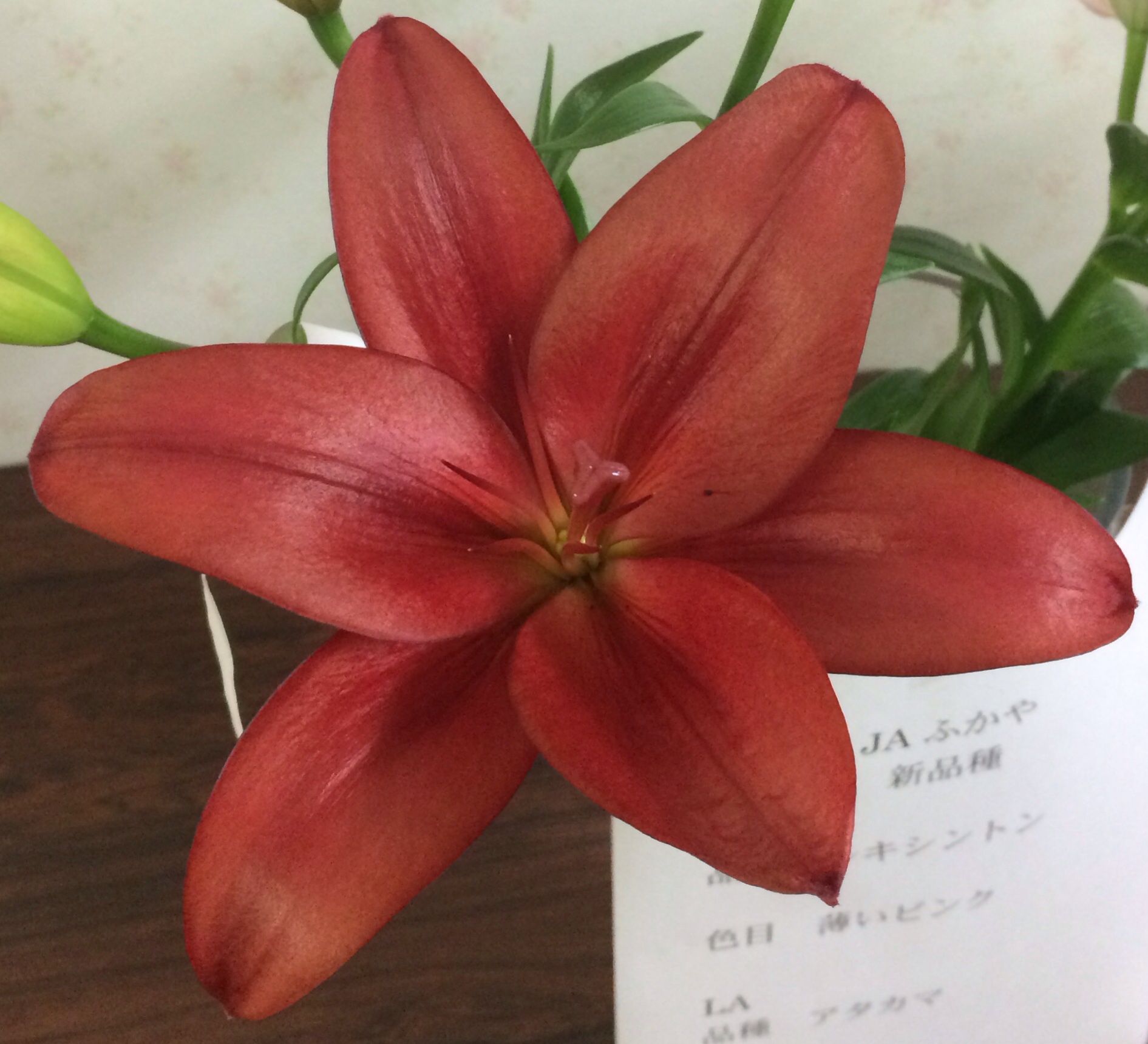 ファイル 123-3.jpg