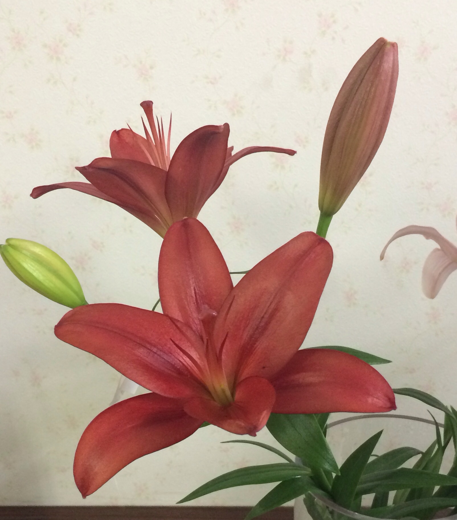 ファイル 123-4.jpg