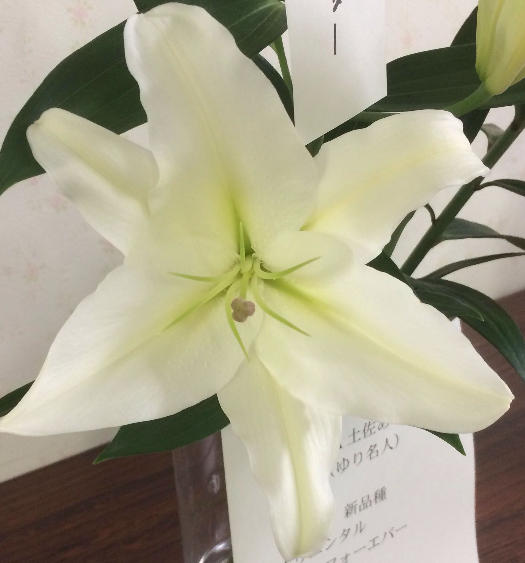 ファイル 124-1.jpg