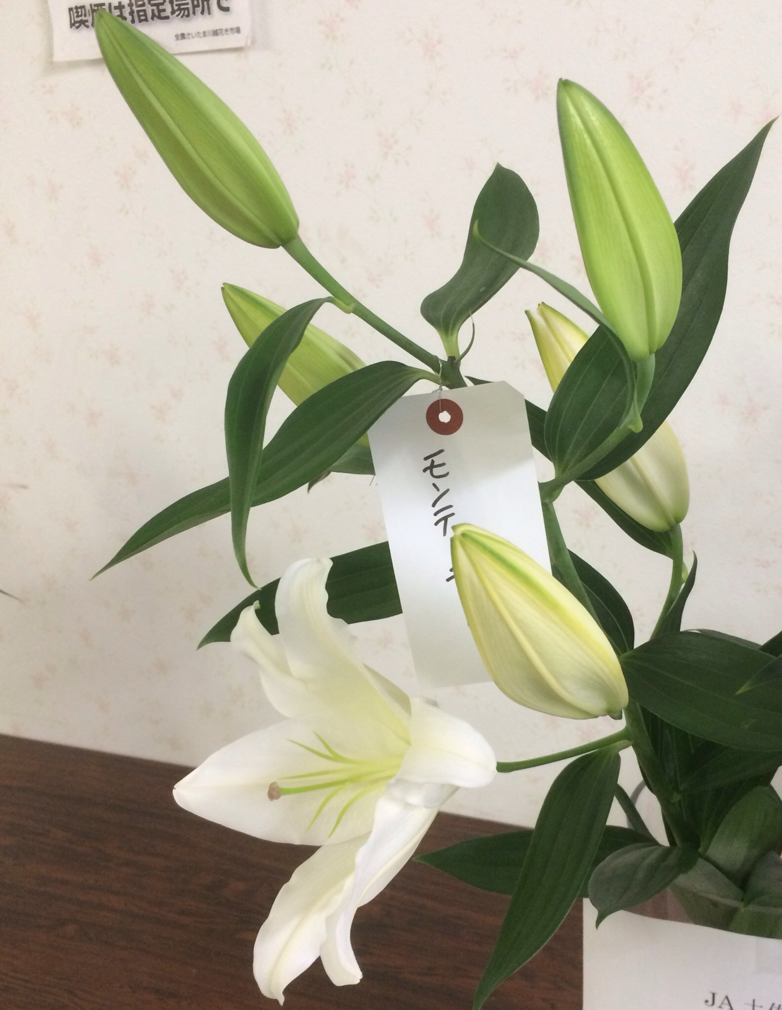 ファイル 124-2.jpg