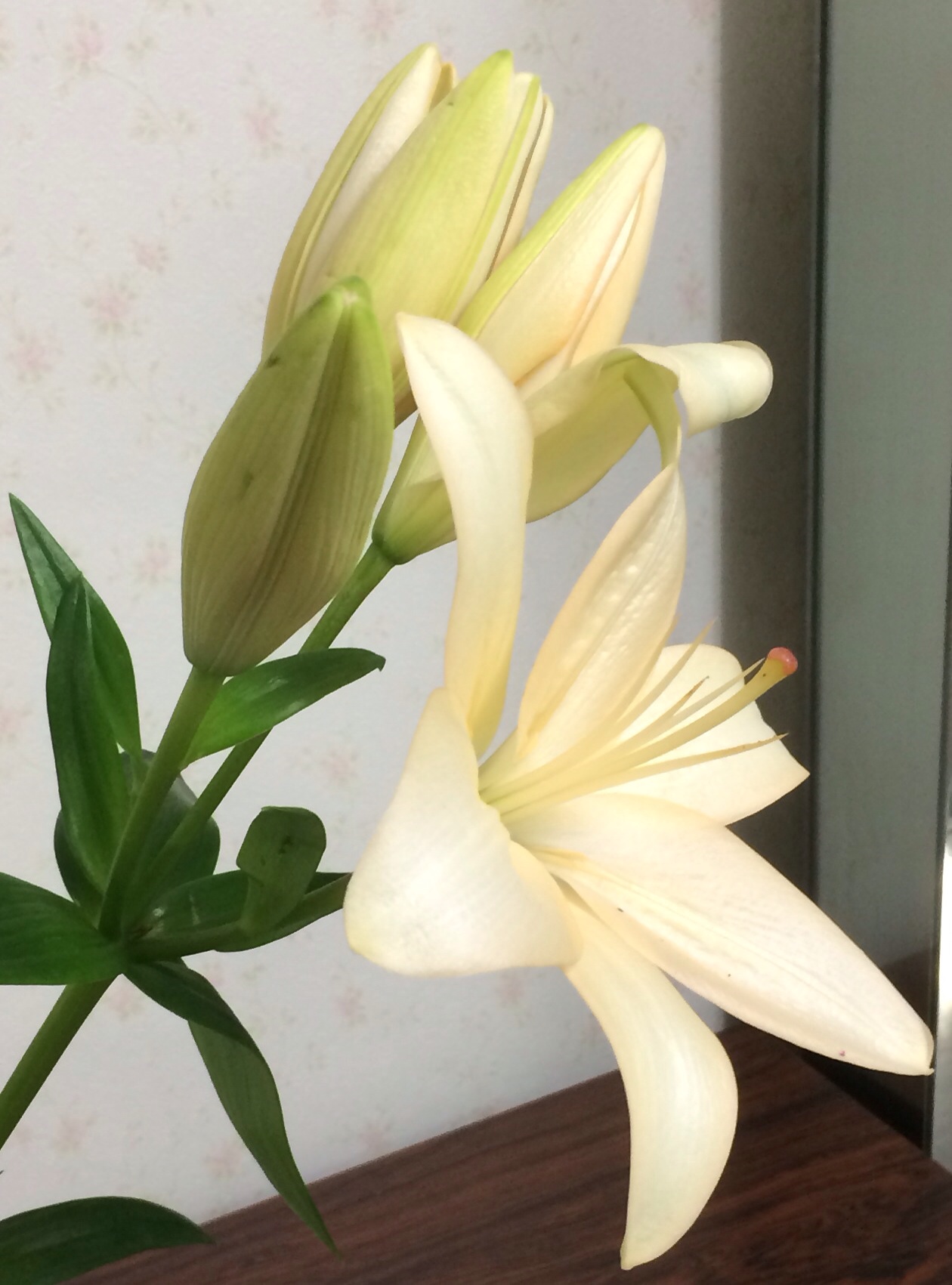 ファイル 125-2.jpg