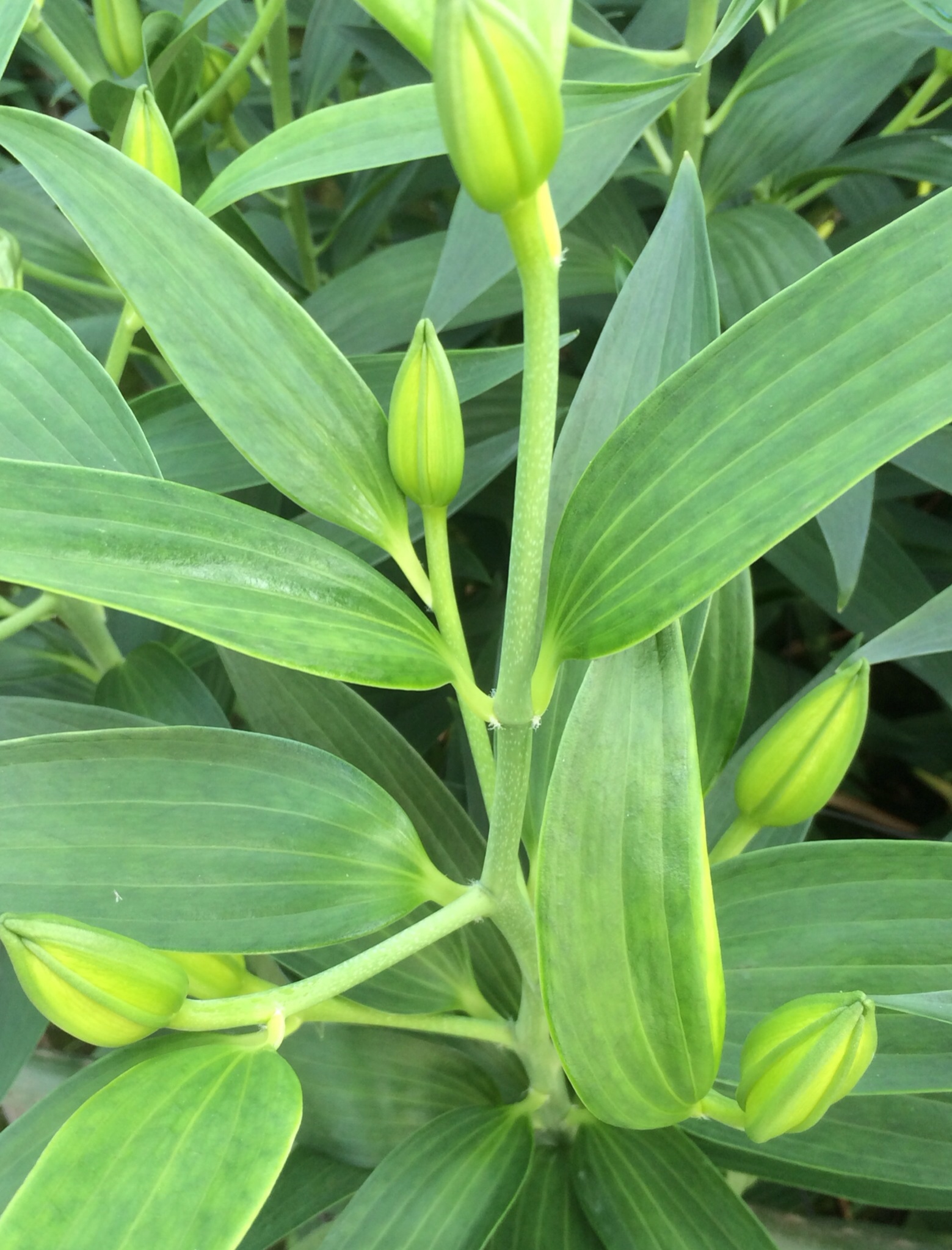 ファイル 127-3.jpg