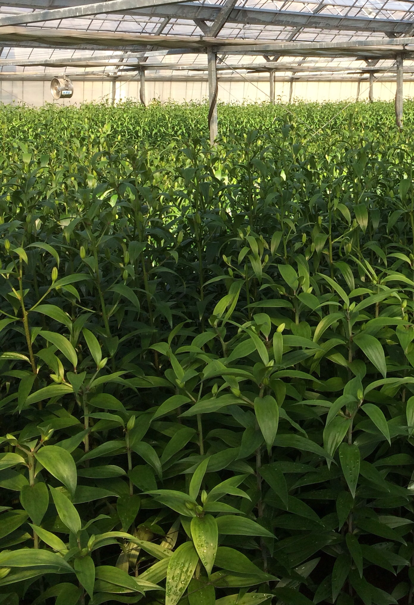 ファイル 127-4.jpg