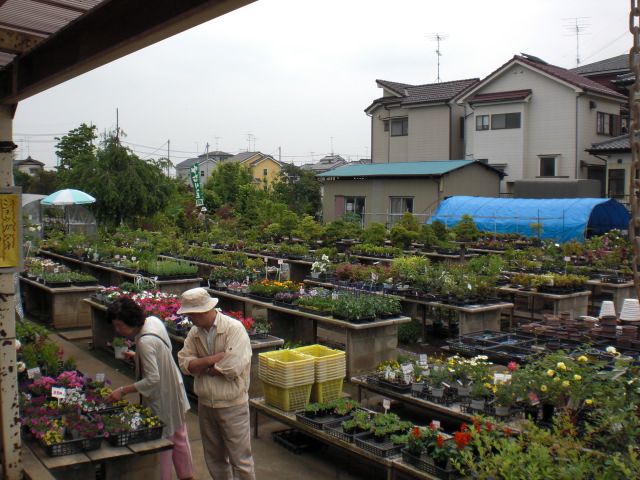 ファイル 13-2.jpg