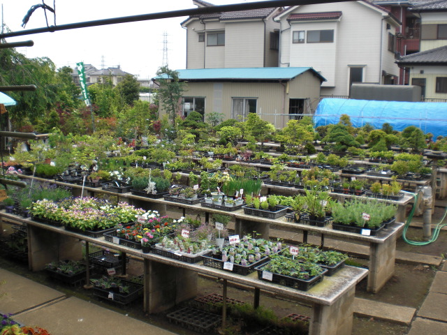 ファイル 13-3.jpg