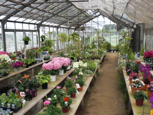 ファイル 13-4.jpg