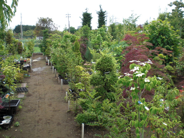 ファイル 13-5.jpg