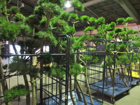 ファイル 130-1.jpg