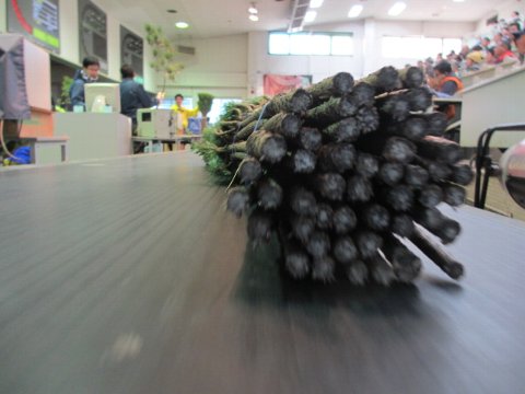 ファイル 130-5.jpg