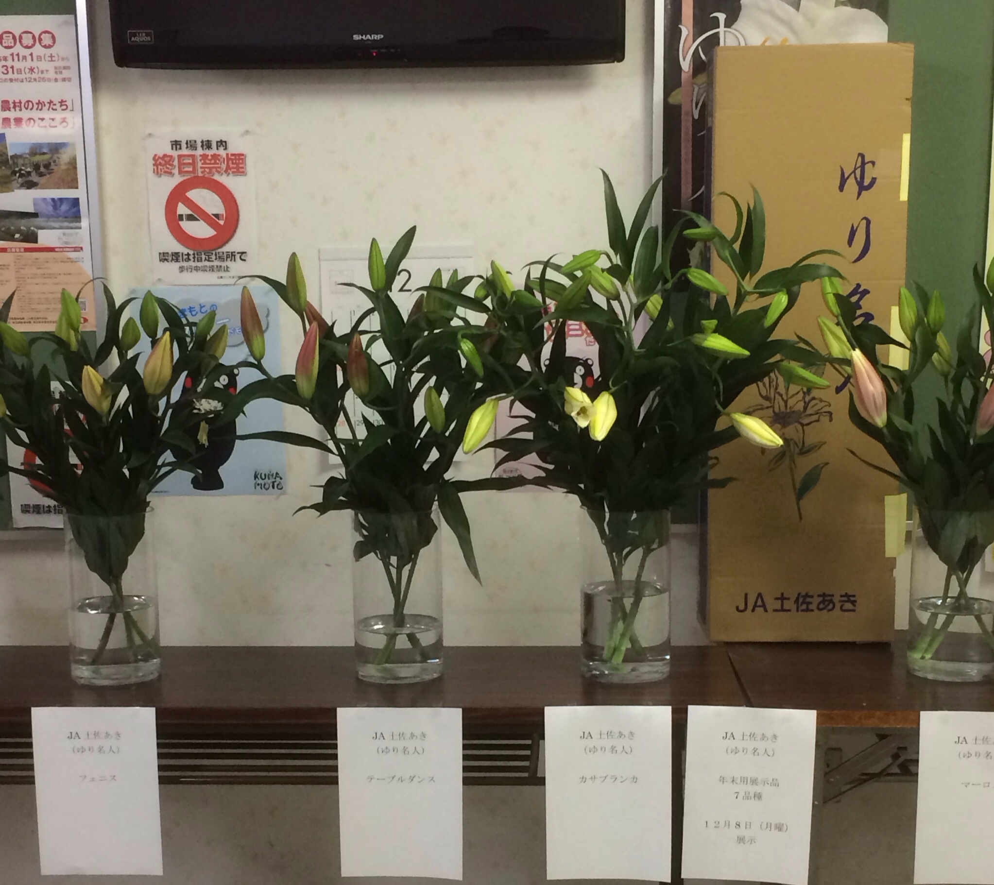 ファイル 131-1.jpg