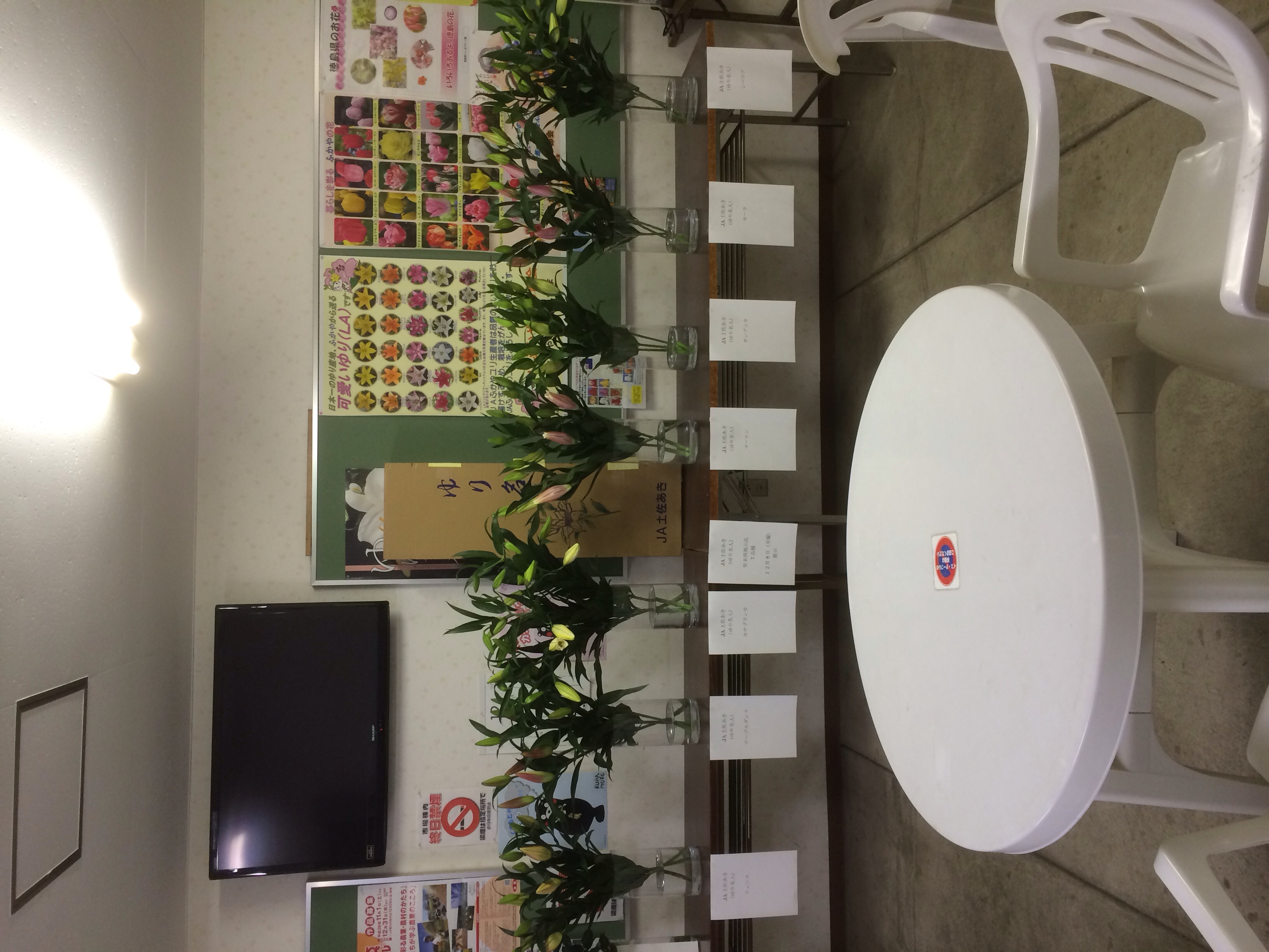 ファイル 131-2.jpg