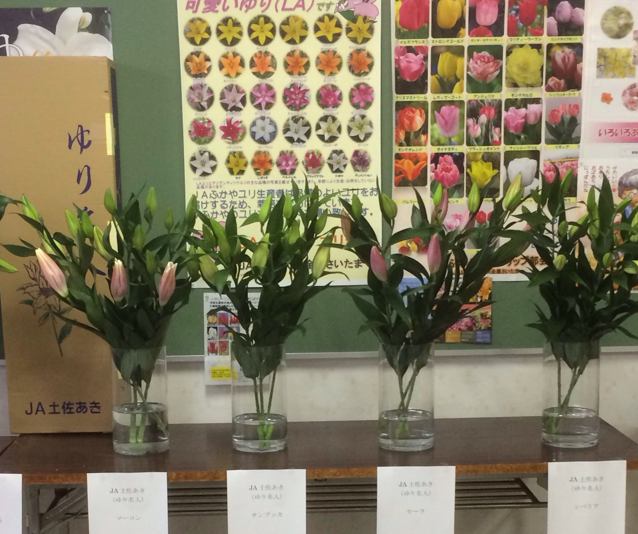 ファイル 131-3.jpg