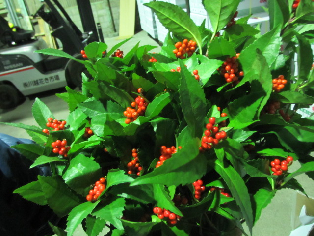 ファイル 133-4.jpg