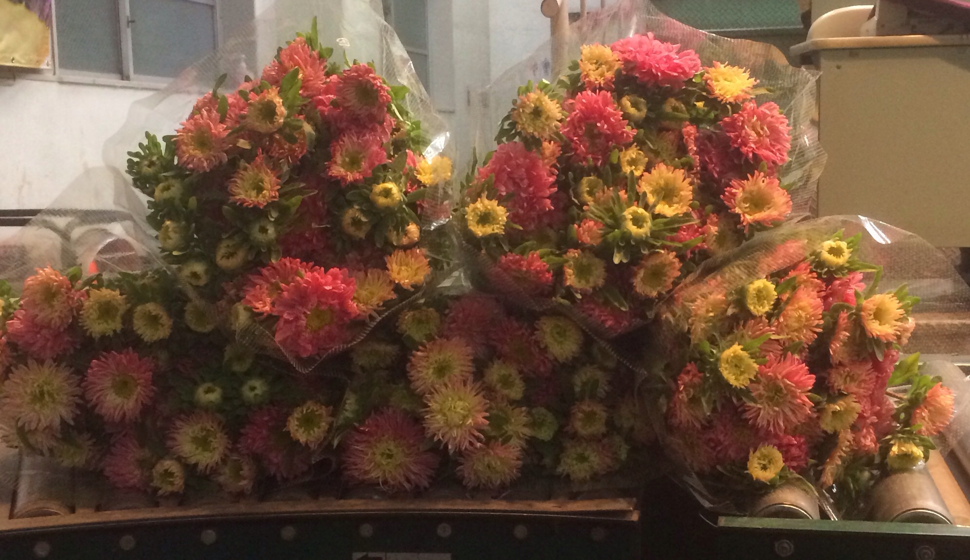 ファイル 134-1.jpg