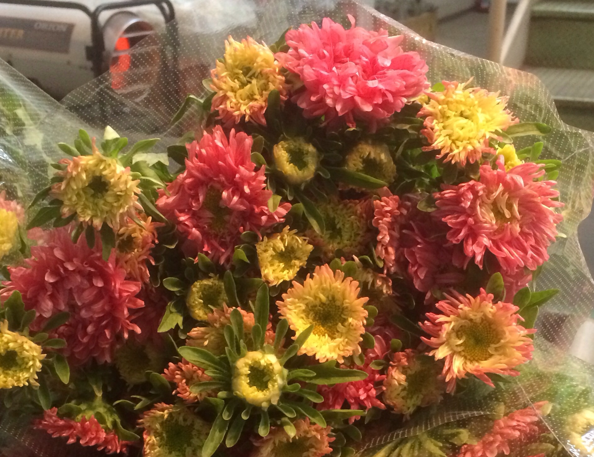 ファイル 134-2.jpg