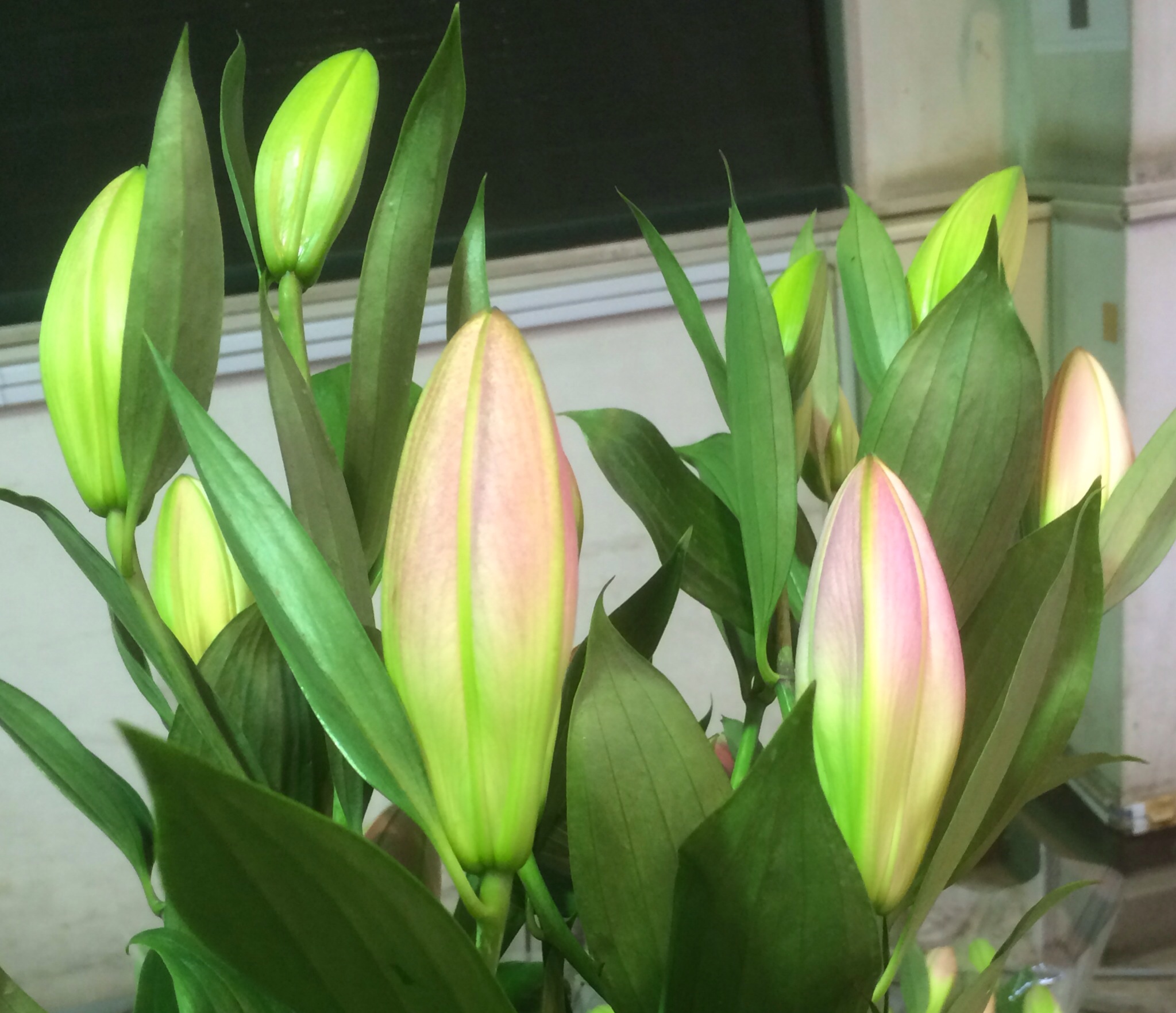 ファイル 136-2.jpg