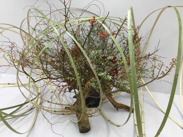 ファイル 137-2.jpg