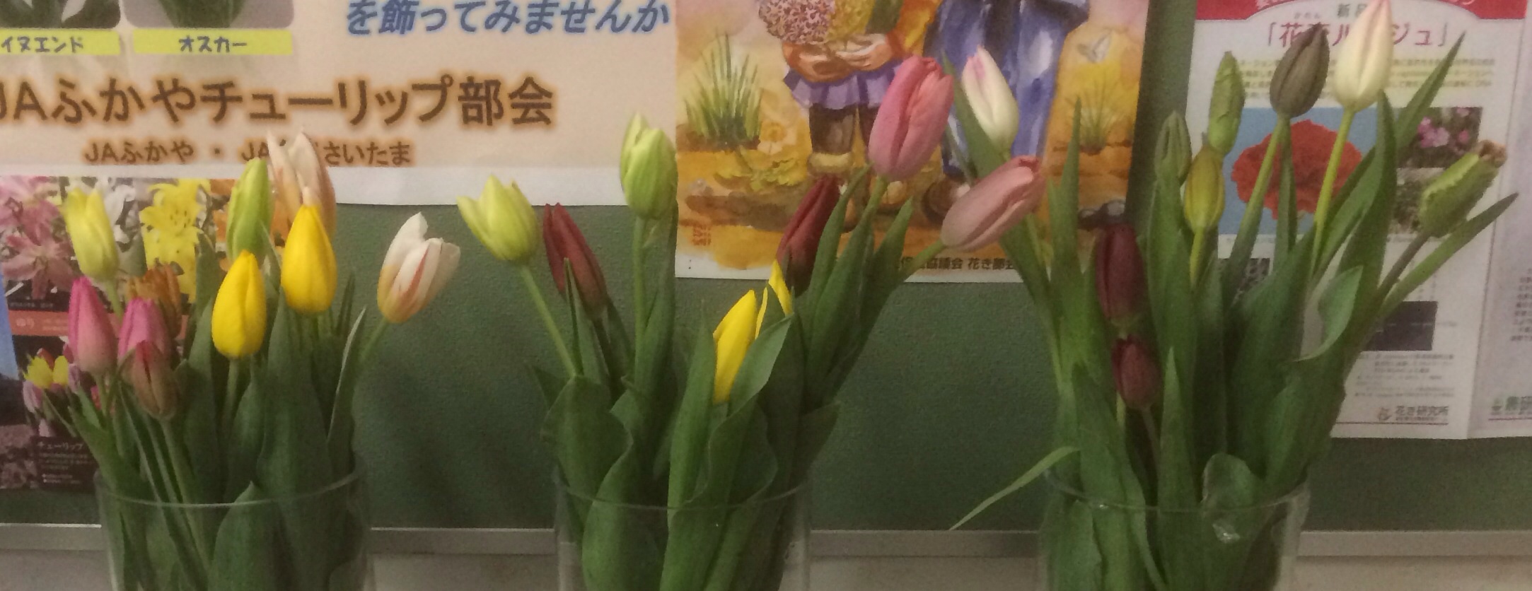 ファイル 138-1.jpg