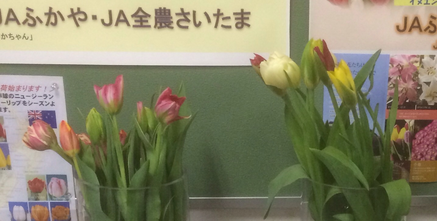 ファイル 138-2.jpg