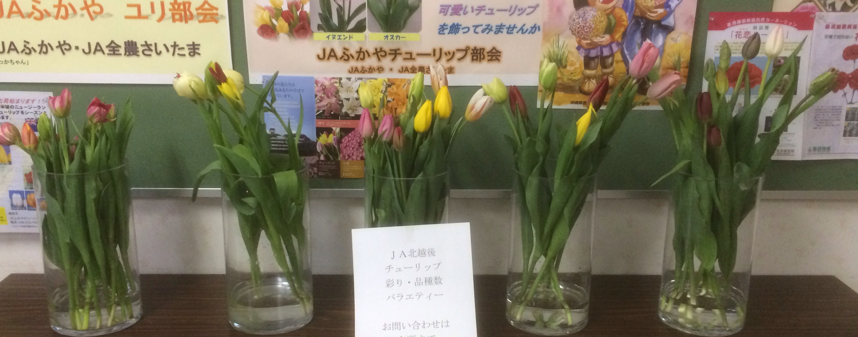 ファイル 138-3.jpg