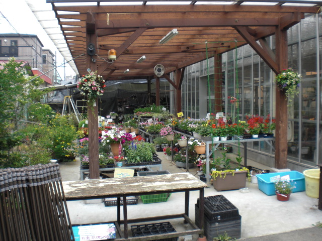 ファイル 14-3.jpg