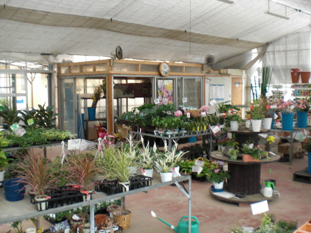 ファイル 14-4.jpg