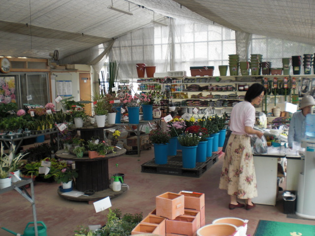 ファイル 14-5.jpg