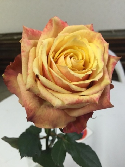 ファイル 140-2.jpg