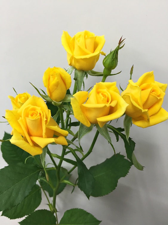 ファイル 144-2.jpg