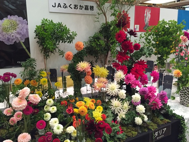 ファイル 145-4.jpg