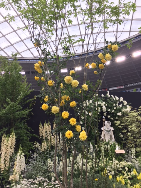 ファイル 146-4.jpg