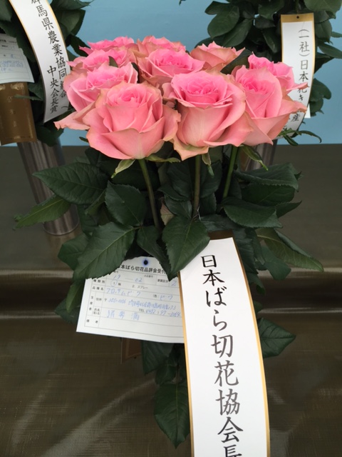 ファイル 147-3.jpg