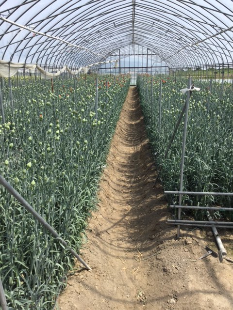 ファイル 148-1.jpg