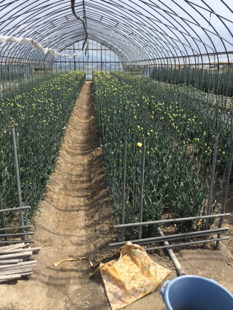 ファイル 148-2.jpg