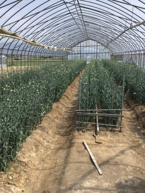 ファイル 148-3.jpg