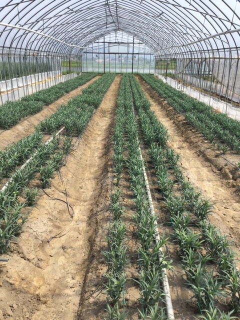 ファイル 148-4.jpg