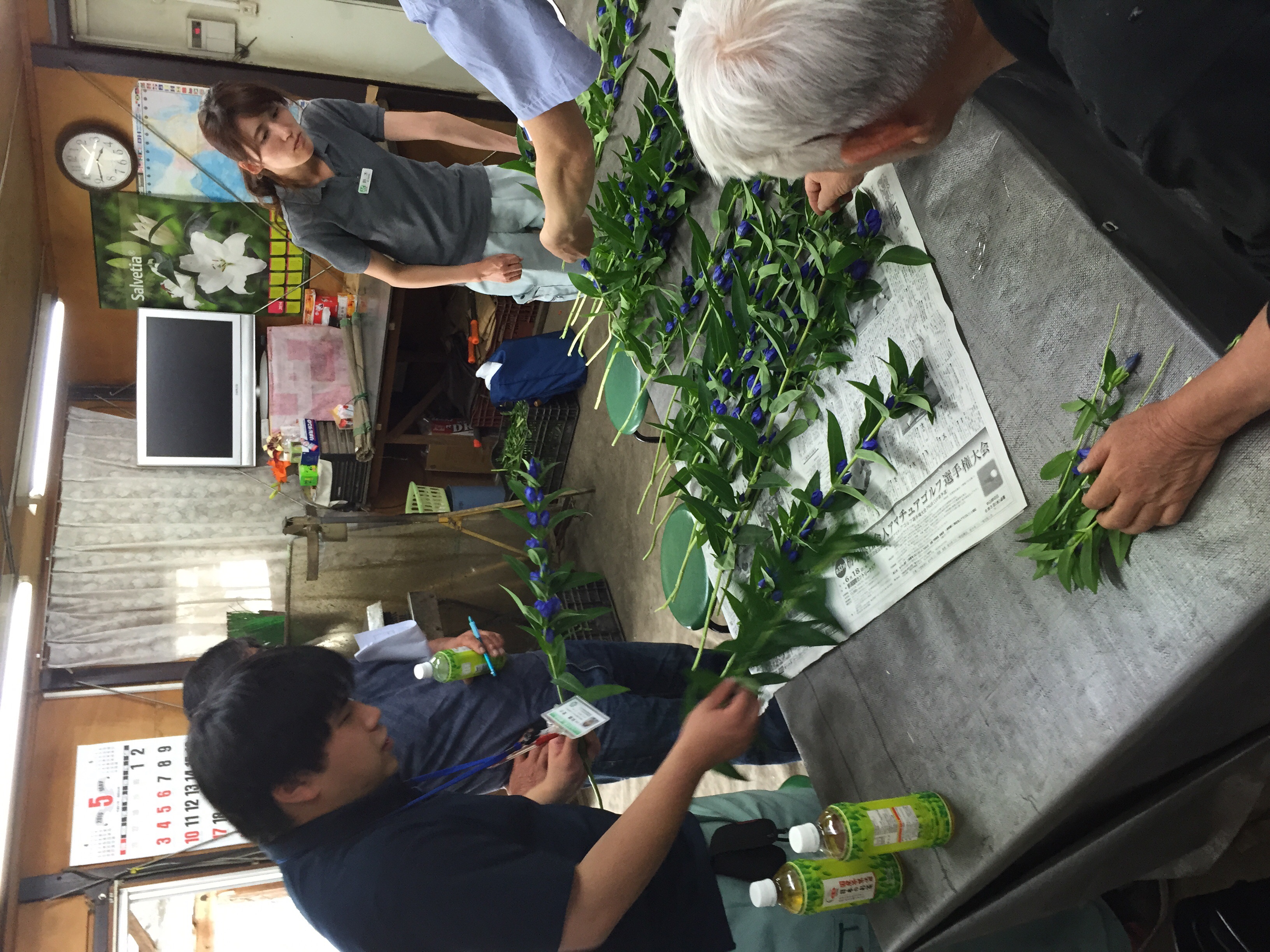 ファイル 149-2.jpg