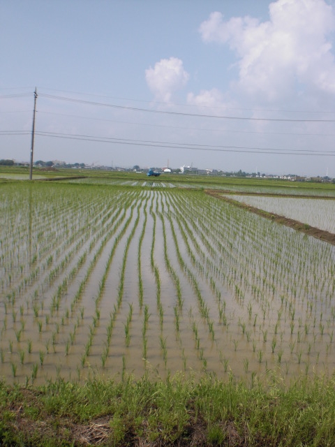 ファイル 15-1.jpg