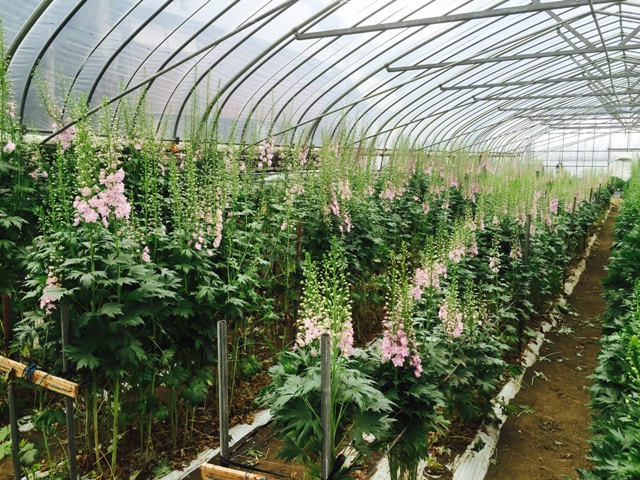 ファイル 150-2.jpg