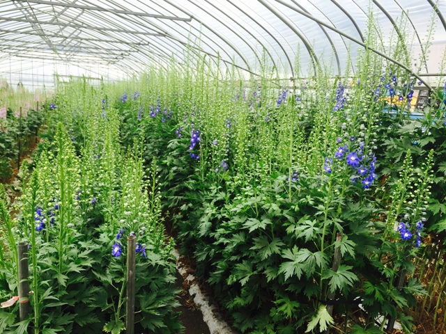 ファイル 150-3.jpg