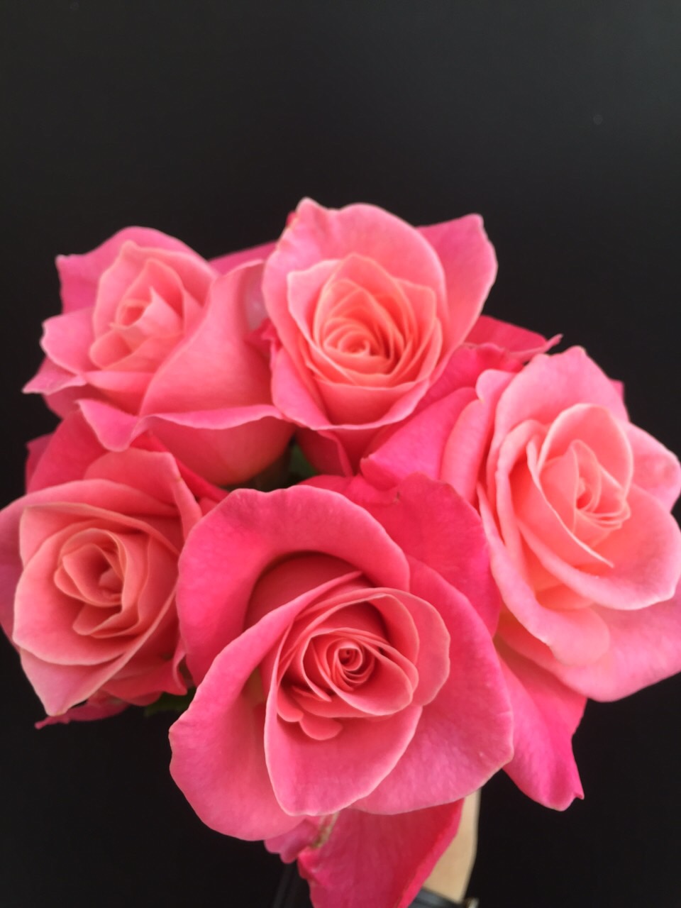 ファイル 152-1.jpg