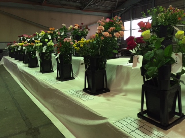 ファイル 154-5.jpg