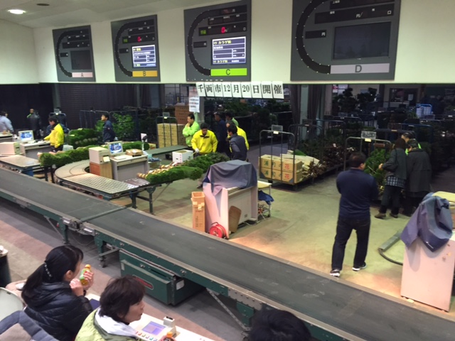 ファイル 155-1.jpg