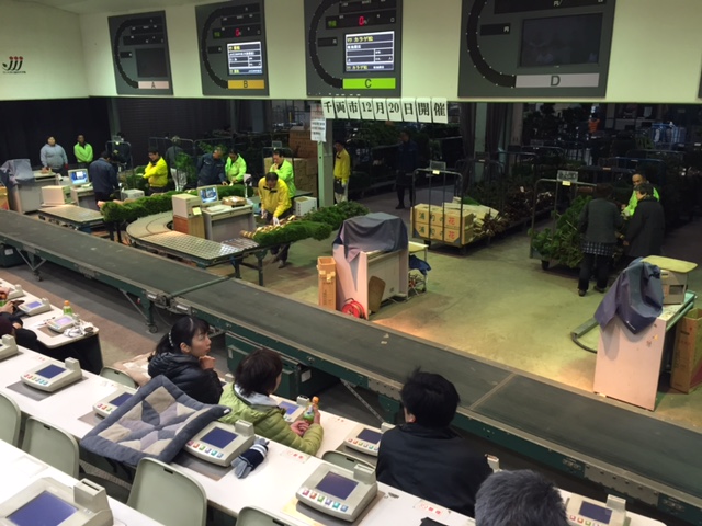 ファイル 155-2.jpg