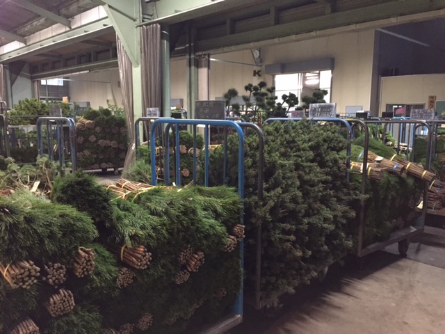 ファイル 155-3.jpg